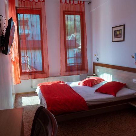 Vila Nicoleta Băile Olăneşti 外观 照片