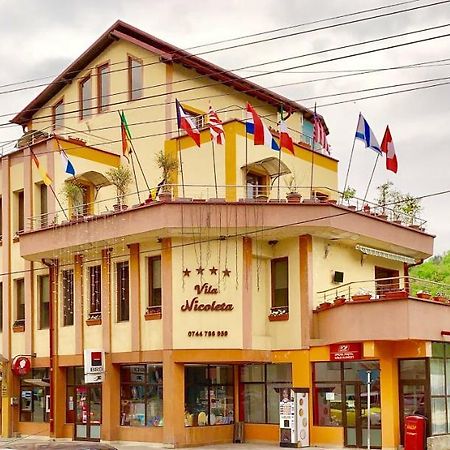 Vila Nicoleta Băile Olăneşti 外观 照片