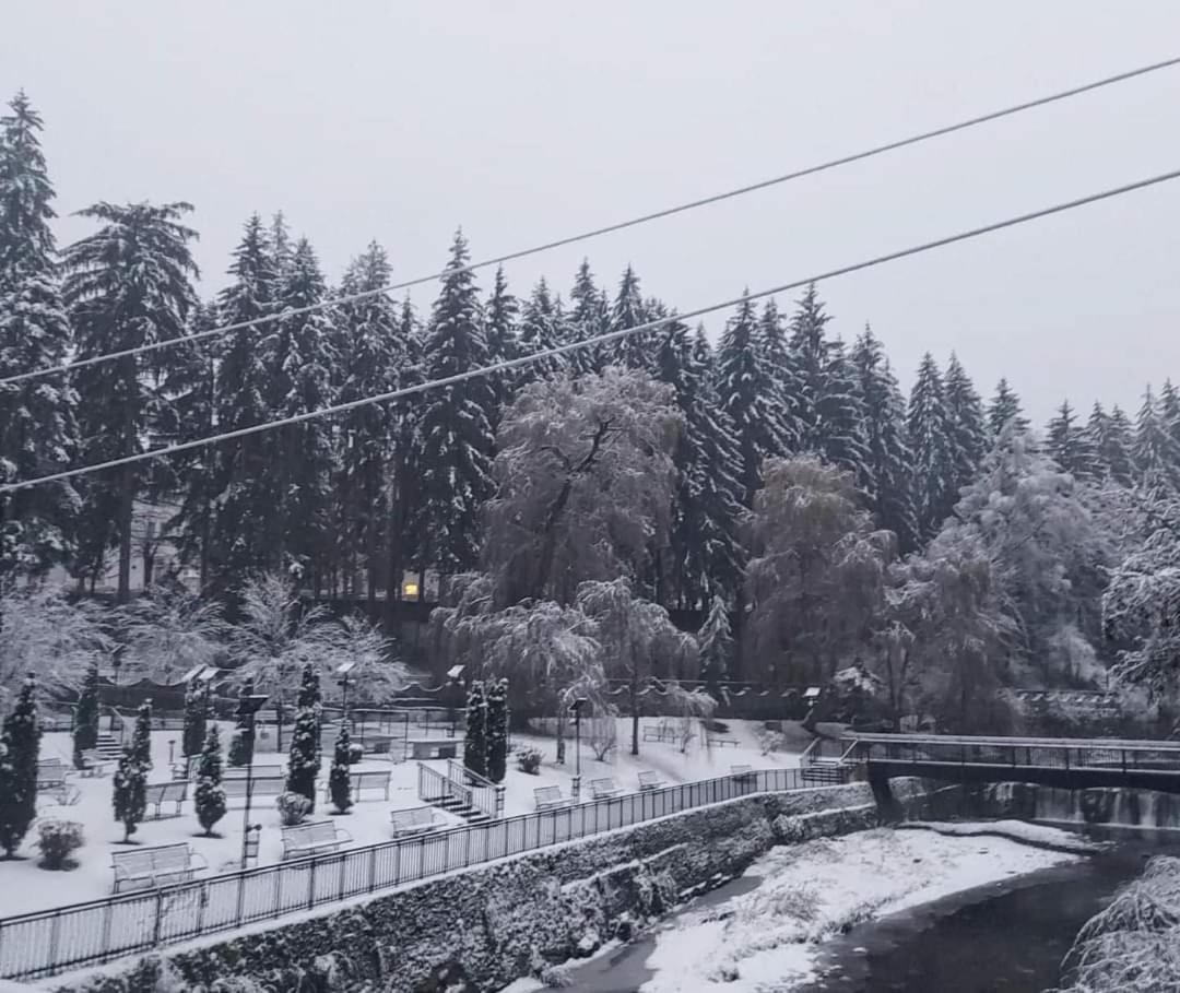 Vila Nicoleta Băile Olăneşti 外观 照片