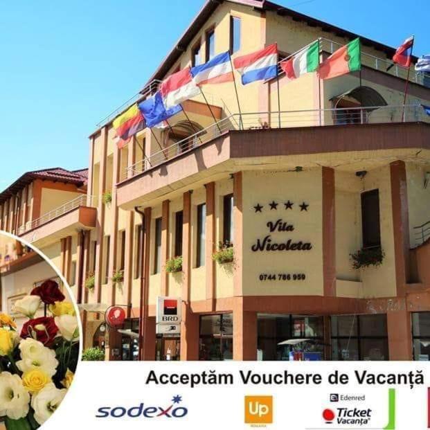 Vila Nicoleta Băile Olăneşti 外观 照片