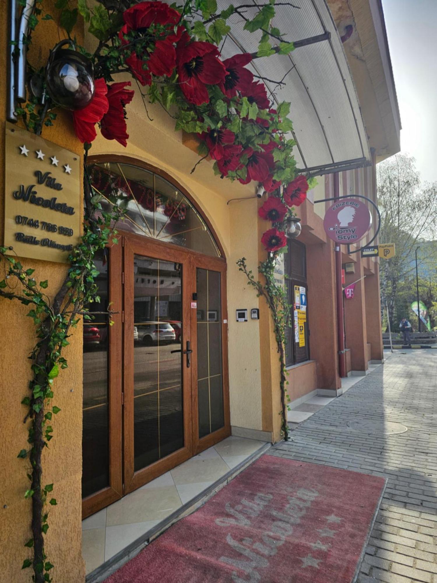 Vila Nicoleta Băile Olăneşti 外观 照片