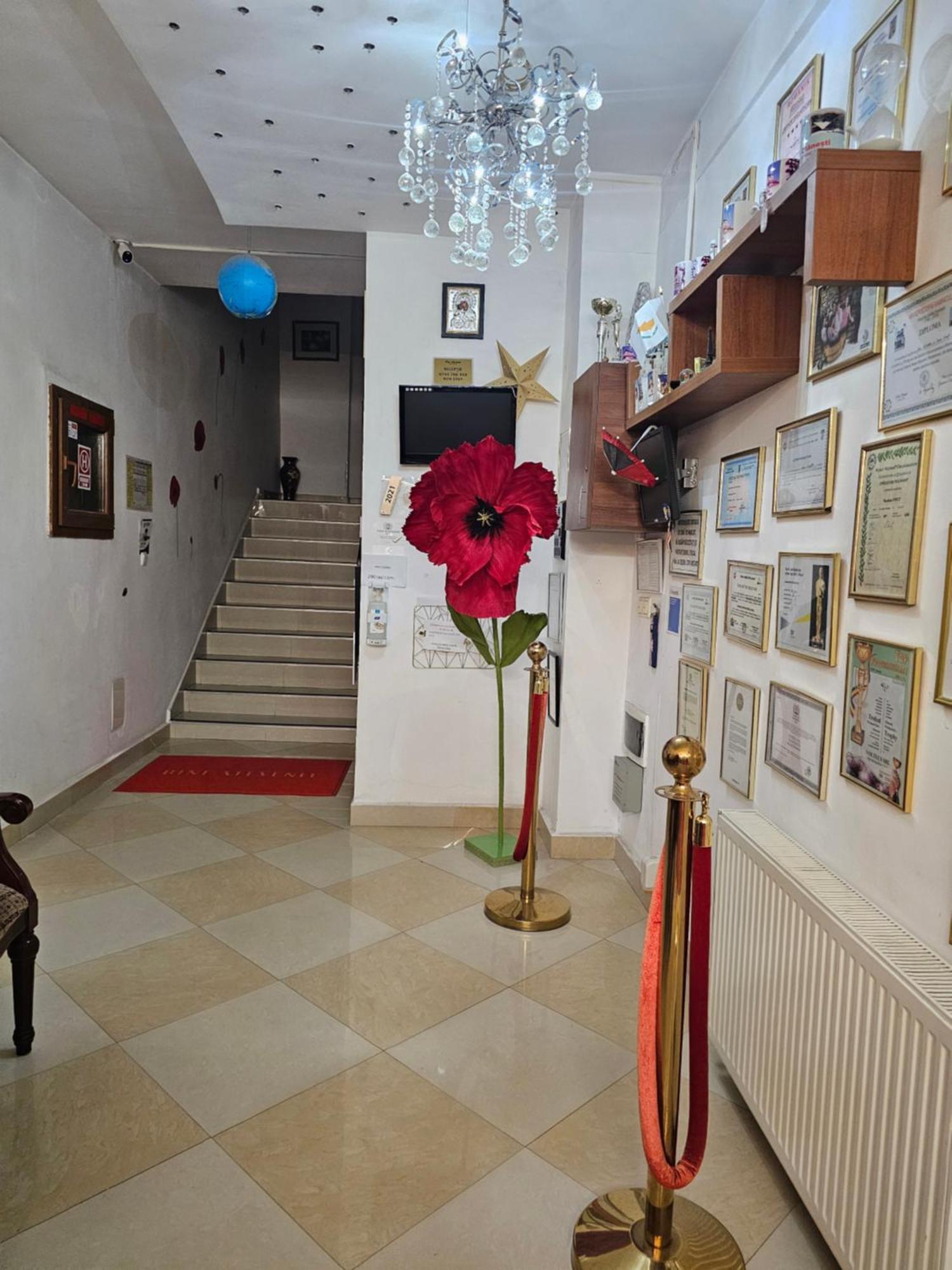 Vila Nicoleta Băile Olăneşti 外观 照片