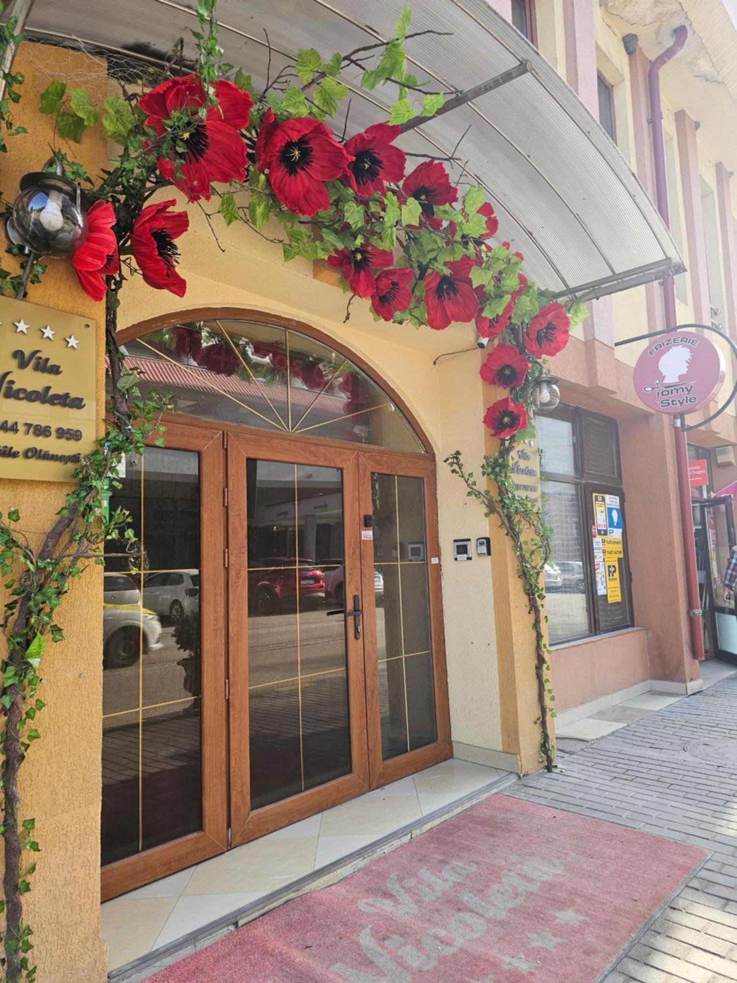 Vila Nicoleta Băile Olăneşti 外观 照片