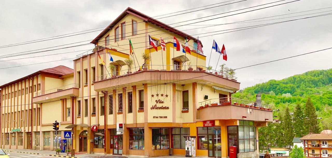 Vila Nicoleta Băile Olăneşti 外观 照片